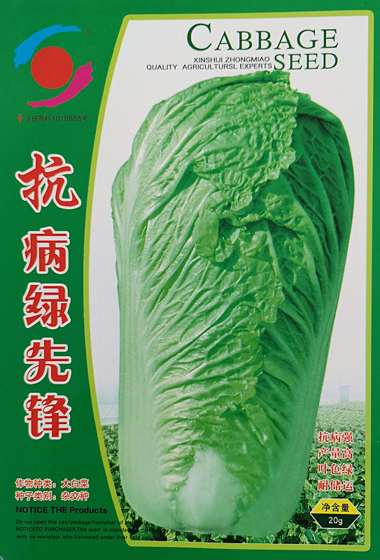Kangbing Lvxianfeng——Chinese Cabbage